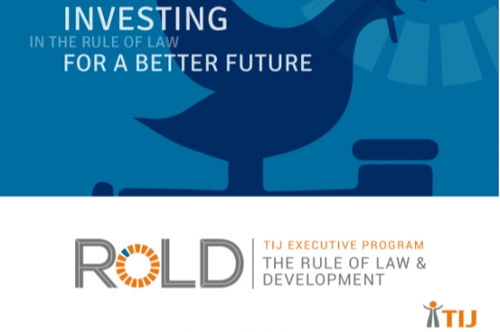 RoLD: TIJ Executive Program on the Rule of Law and Development