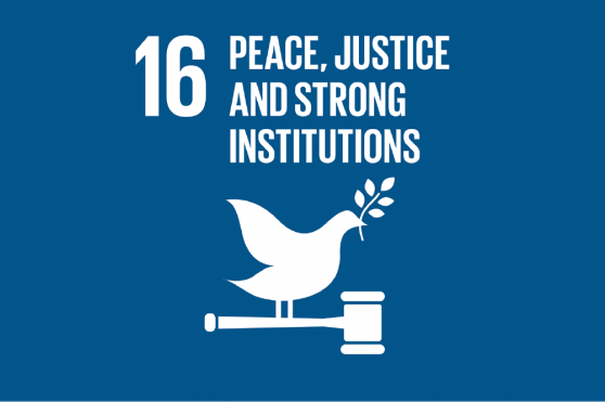 #SDG16 - Peace, Justice and Strong Institutions