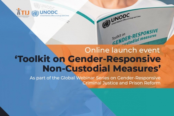Webinar summary: Online launch of the ‘Toolkit on Gender-Responsive Non-Custodial Measures’