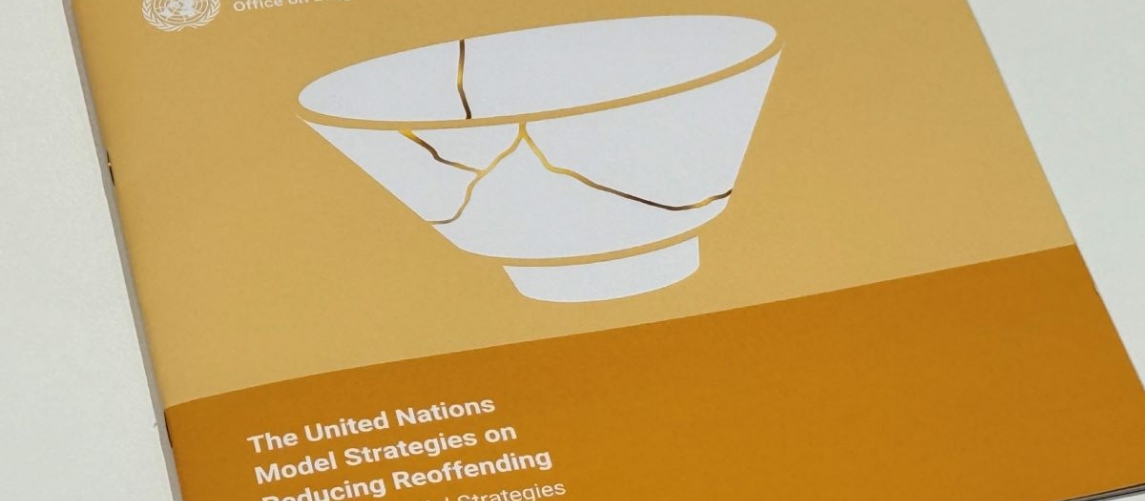 TIJ Director Advocates Reoffending Reduction at 35th CCPCJ